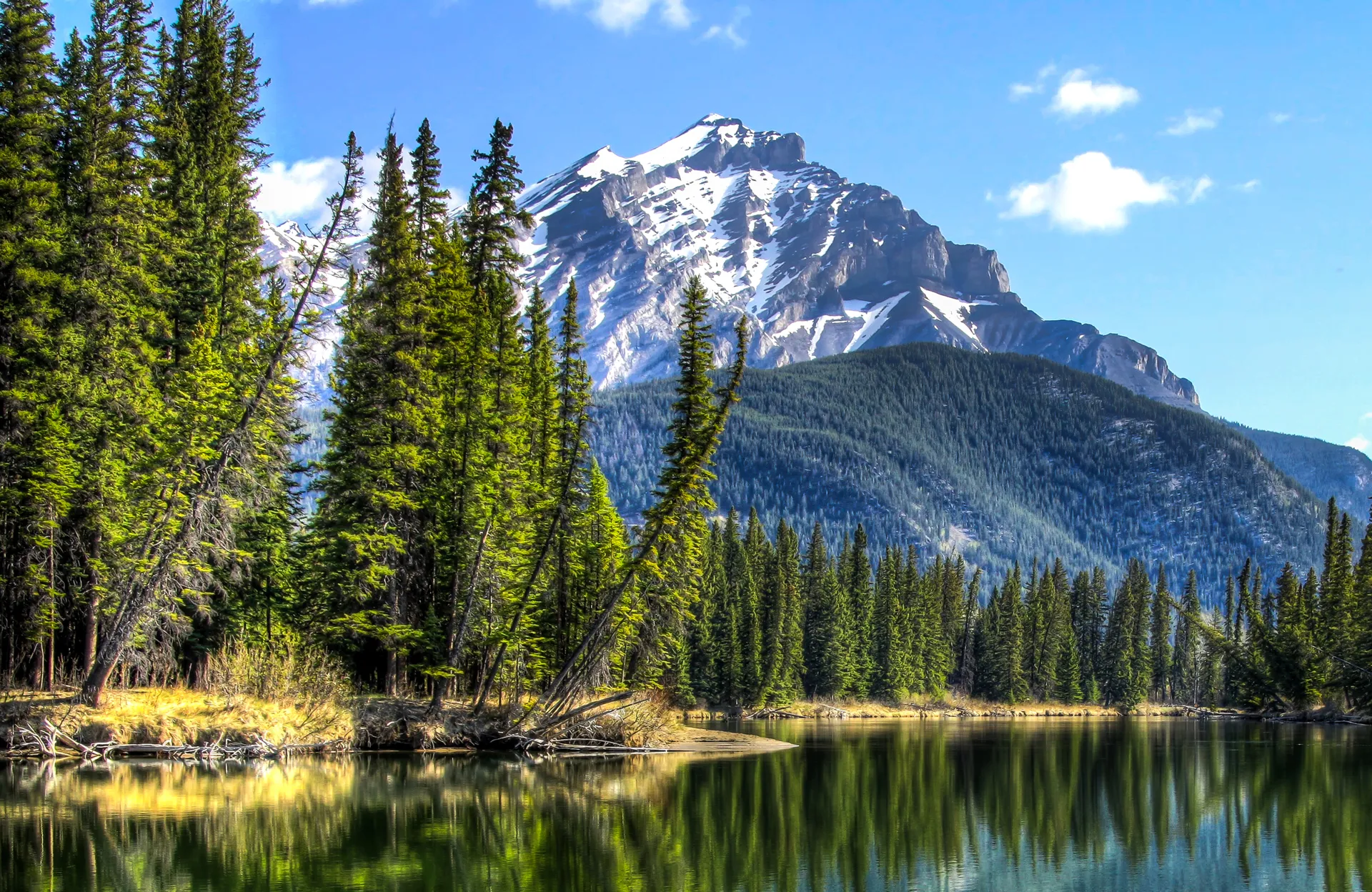 Mountain landscape with evergreen forest and reflective lake representing AFN Insurance Brokers’ insurance solutions for Indigenous communities across Canada.