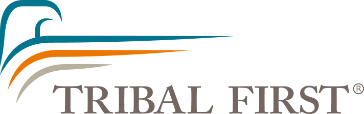 Program20 image
